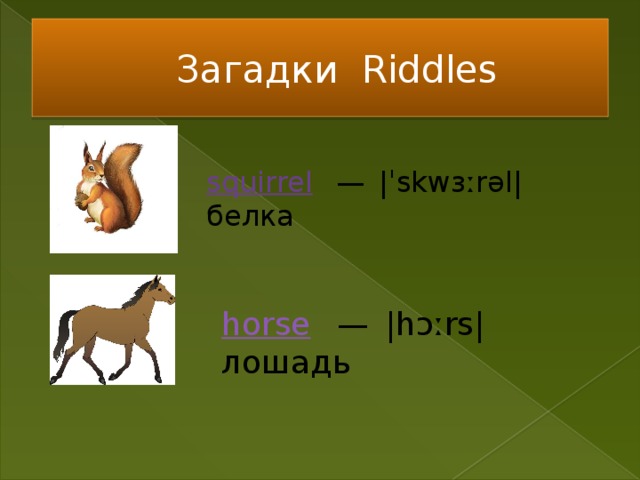 Загадки Riddles squirrel    —  |ˈskwɜːrəl| белка horse    —  |hɔːrs| лошадь  