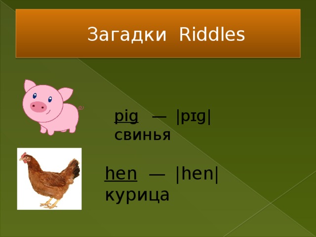 Загадки Riddles pig   —  |pɪɡ| свинья hen   —  |hen| курица 