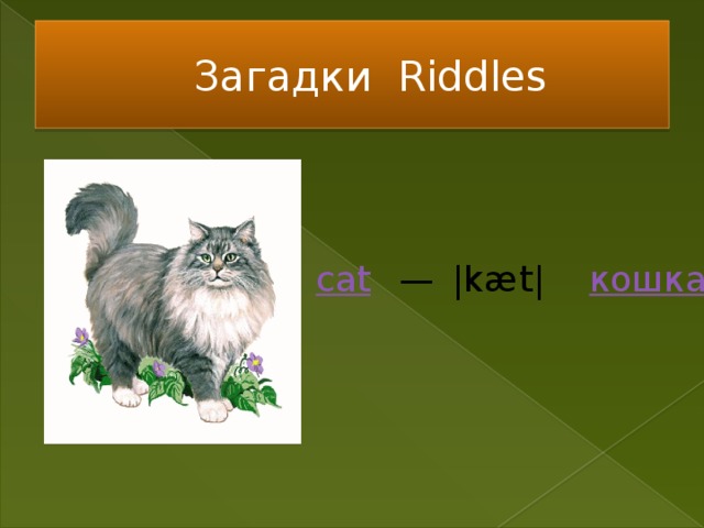 Загадки Riddles cat    —  |kæt| кошка 