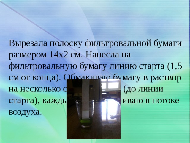 Вырезала полоску фильтровальной бумаги размером 14х2 см. Нанесла на фильтровальную бумагу линию старта (1,5 см от конца). Обмакиваю бумагу в раствор на несколько секунд 7-8 раз (до линии старта), каждый раз просушиваю в потоке воздуха. 