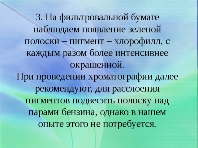 3. На фильтровальной бумаге наблюдаем появление зеленой полоски – пигмент – хлорофилл, с каждым разом более интенсивнее окрашенной.  При проведении хроматографии далее рекомендуют, для расслоения пигментов подвесить полоску над парами бензина, однако в нашем опыте этого не потребуется.   