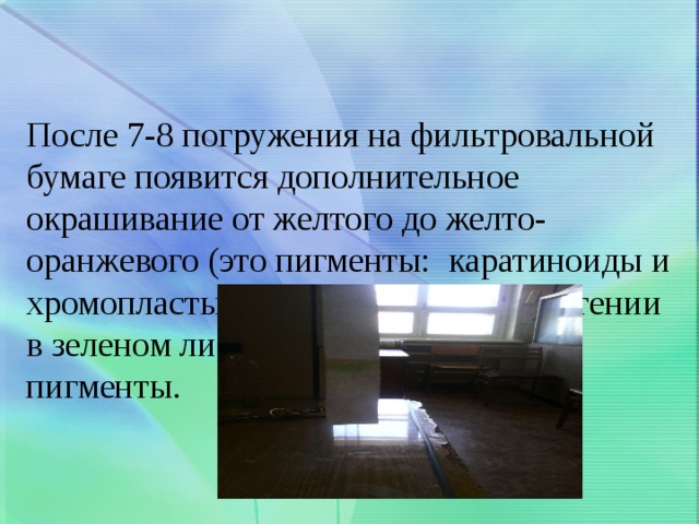 После 7-8 погружения на фильтровальной бумаге появится дополнительное окрашивание от желтого до желто-оранжевого (это пигменты: каратиноиды и хромопласты). Следовательно, в растении в зеленом листе находятся разные  пигменты. 