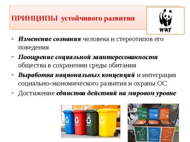 Принцип экологического развития