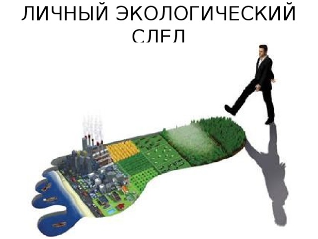 ЛИЧНЫЙ ЭКОЛОГИЧЕСКИЙ СЛЕД 