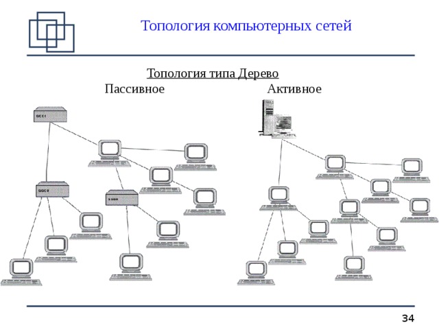 Сеть дерево. Топология локальной сети дерево. Схема топологии сети типа 