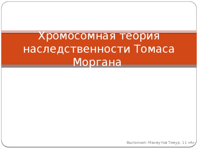 Хромосомная теория наследственности Томаса Моргана Выполнил: Махмутов Тимур. 11 «А» 