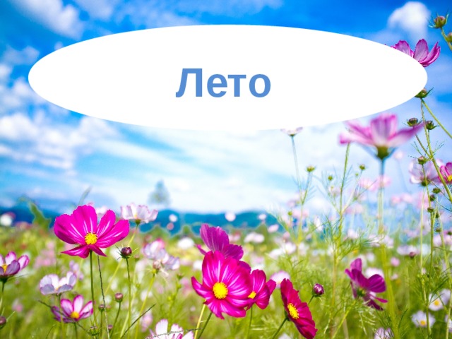 Лето