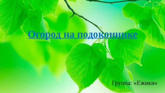 Огород на подоконнике Группа: «Ежики» 