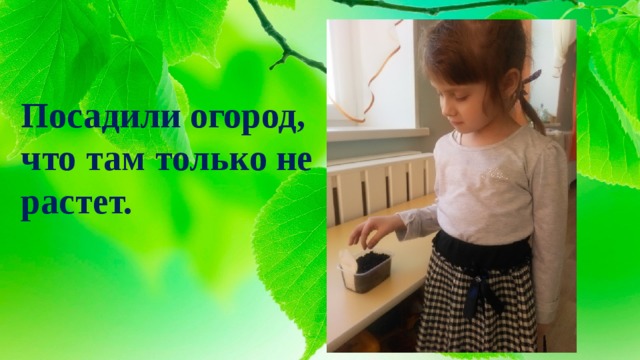 Посадили огород,  что там только не растет. 