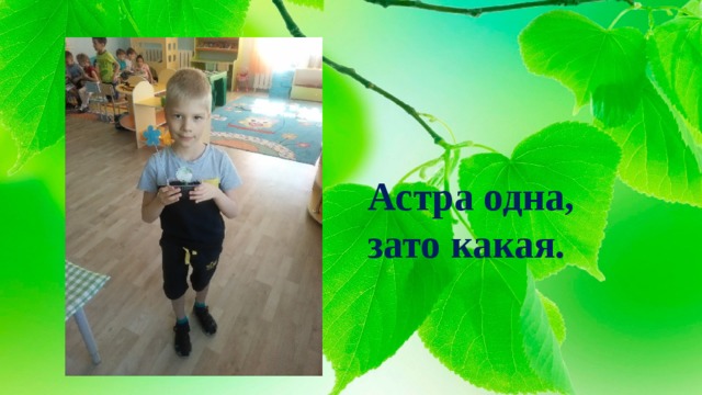 Астра одна,  зато какая. 