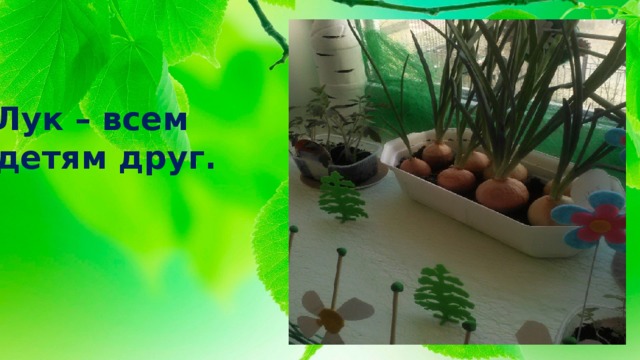 Лук – всем детям друг. 