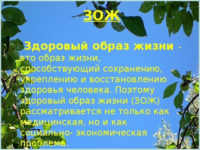 ЗОЖ   Здоровый образ жизни - это образ жизни, способствующий сохранению, укреплению и восстановлению здоровья человека. Поэтому здоровый образ жизни (ЗОЖ) рассматривается не только как медицинская, но и как социально- экономическая проблема. 