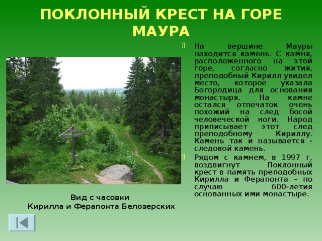 ВЕНЕРИН БАШМАЧОК Венерин башмачок – многолетнее травянистое растение семейства орхидные, охраняемое всеми европейскими государствами, в том числе и Россией Вид занесен в Красную книгу Северная орхидея – это ядовитое растение, именно так оно защищается от животных, в основном от лосей и зайцев Башмачок крупноцветковый  Cypripedium macranthon Sw.  