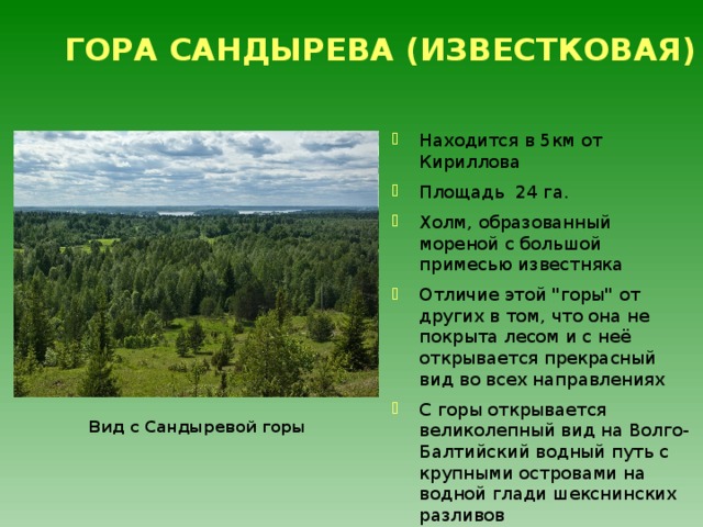 ГОРА САНДЫРЕВА (ИЗВЕСТКОВАЯ) Находится в 5км от Кириллова Площадь 24 га. Холм, образованный мореной с большой примесью известняка Отличие этой 