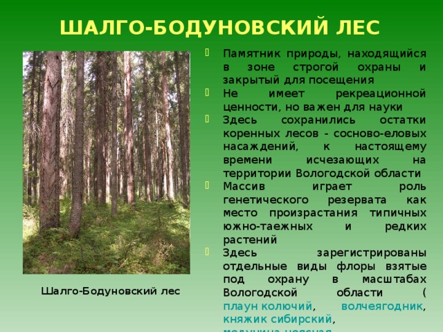 Презентация памятники природы вологодской области