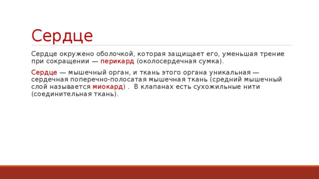 Сердце Сердце окружено оболочкой, которая защищает его, уменьшая трение при сокращении — перикард (околосердечная сумка). Сердце — мышечный орган, и ткань этого органа уникальная — сердечная поперечно-полосатая мышечная ткань (средний мышечный слой называется миокард ) . В клапанах есть сухожильные нити (соединительная ткань). 