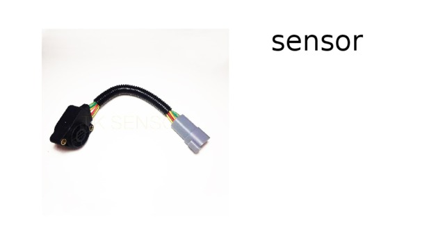 sensor