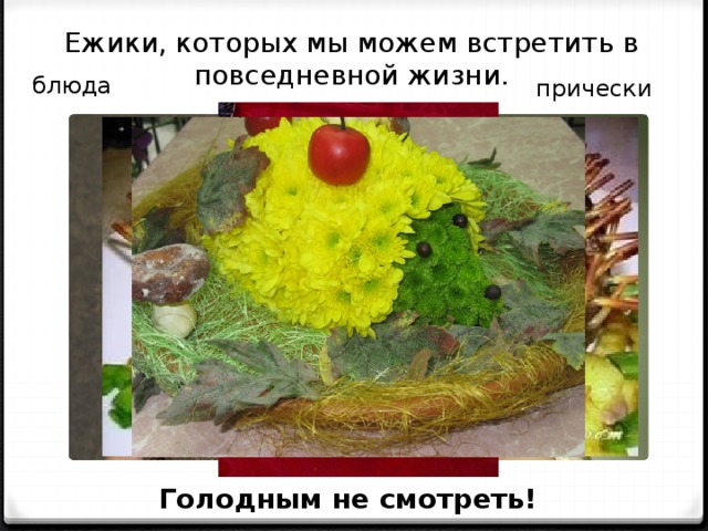 Ежики, которых мы можем встретить в повседневной жизни. блюда прически Голодным не смотреть! 