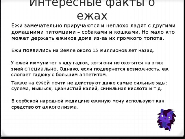 Информация про ежика