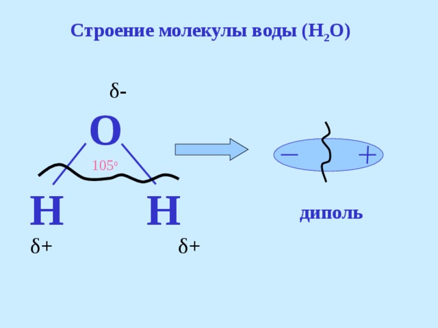 Строение молекулы воды (H 2 O) δ- O 105 o H H диполь δ + δ + 