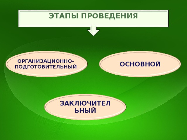 Подготовительный основной и заключительный этапы проекта