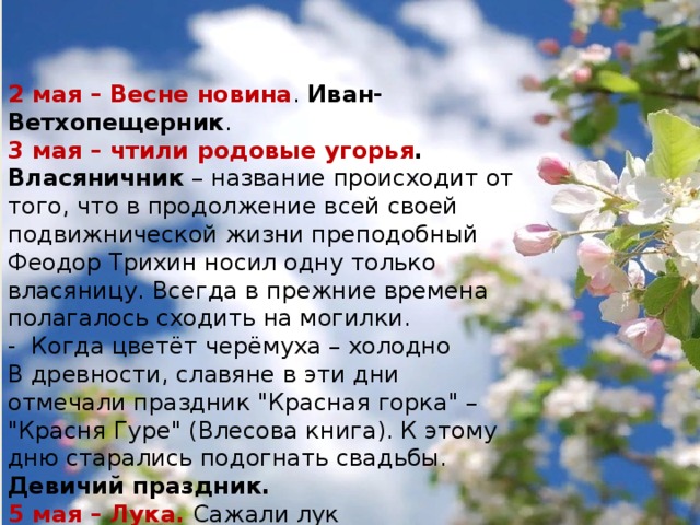 2 мая – Весне новина . Иван-Ветхопещерник . 3 мая – чтили родовые угорья . Власяничник – название происходит от того, что в продолжение всей своей подвижнической жизни преподобный Феодор Трихин носил одну только власяницу. Всегда в прежние времена полагалось сходить на могилки. - Когда цветёт черёмуха – холодно В древности, славяне в эти дни отмечали праздник 