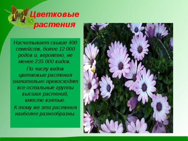 Технологическая карта урока по окружающему миру 3 класс разнообразие растений