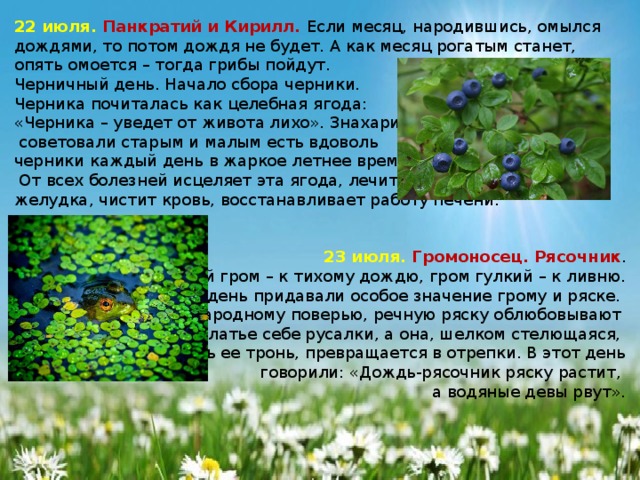 Июль что происходит. 22 Июля народный календарь. Черничный день 22 июля. Народные праздники 22 июля. Народный календарь июль.