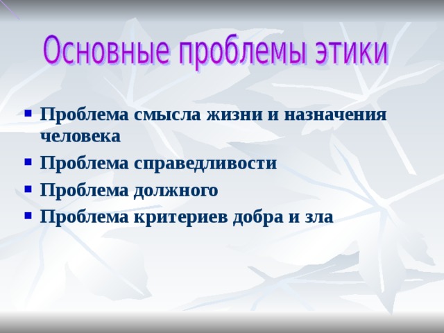Проблема смысла жизни и назначения человека Проблема справедливости Проблема должного Проблема критериев добра и зла