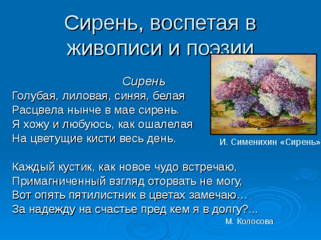 Сирень, воспетая в живописи и поэзии Сирень Голубая, лиловая, синяя, белая Расцвела нынче в мае сирень. Я хожу и любуюсь, как ошалелая На цветущие кисти весь день. Каждый кустик, как новое чудо встречаю, Примагниченный взгляд оторвать не могу, Вот опять пятилистник в цветах замечаю… За надежду на счастье пред кем я в долгу?... М. Колосова И. Сименихин «Сирень» 