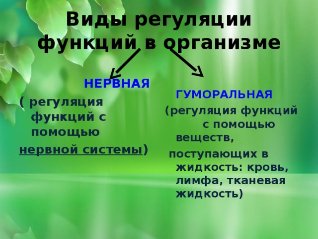 Виды регуляции функций в организме   НЕРВНАЯ  ГУМОРАЛЬНАЯ ( регуляция функций с помощью нервной системы ) (регуляция функций с помощью веществ,  поступающих в жидкость: кровь, лимфа, тканевая жидкость)  