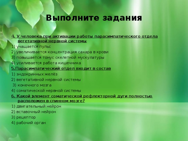 Выполните задания 4. У человека при активации работы парасимпатического отдела вегетативной нервной системы 1) учащается пульс 2) увеличивается концентрация сахара в крови 3) повышается тонус скелетной мускулатуры 4) усиливается работа кишечника 5.Парасимпатический отдел входит в состав 1) эндокринных желёз 2) вегетативной нервной системы   3) конечного мозга 4) соматической нервной системы 6. Какой элемент соматической рефлекторной дуги полностью расположен в спинном мозге? 1) двигательный нейрон 2) вставочный нейрон 3) рецептор 4) рабочий орган 