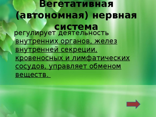 вегетативная (автономная) нервная система регулирует деятельность внутренних органов, желез внутренней секреции, кровеносных и лимфатических сосудов, управляет обменом веществ. 