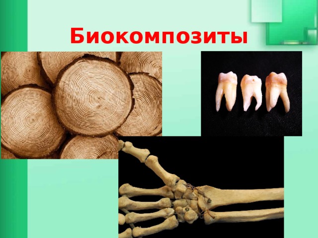 Биокомпозиты 