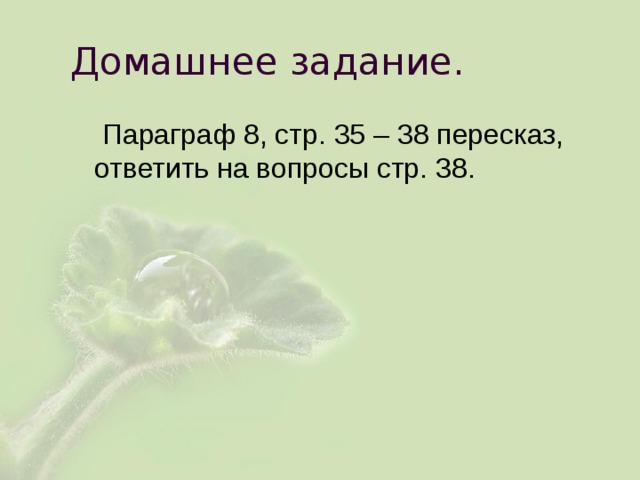 Домашнее задание.  Параграф 8, стр. 35 – 38 пересказ, ответить на вопросы стр. 38. 