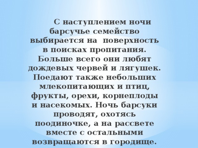  С наступлением ночи барсучье семейство выбирается на поверхность в поисках пропитания. Больше всего они любят дождевых червей и лягушек. Поедают также небольших млекопитающих и птиц, фрукты, орехи, корнеплоды и насекомых. Ночь барсуки проводят, охотясь поодиночке, а на рассвете вместе с остальными возвращаются в городище. Там они играют. Ухаживают друг за другом и отсыпаются. 