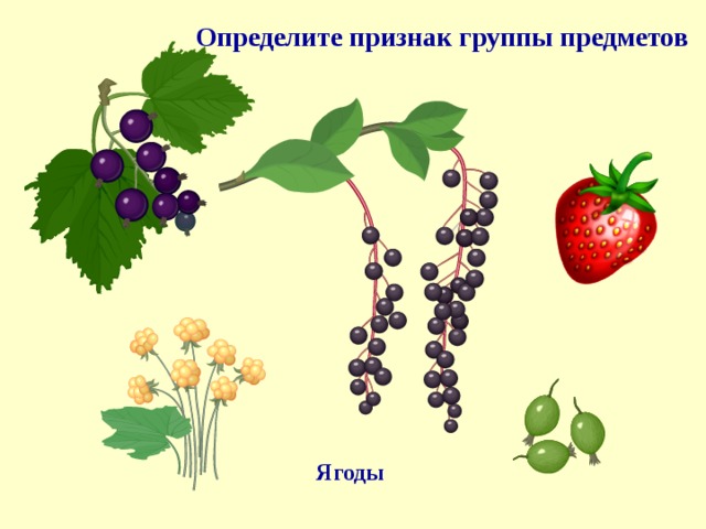  Определите признак группы предметов Ягоды 