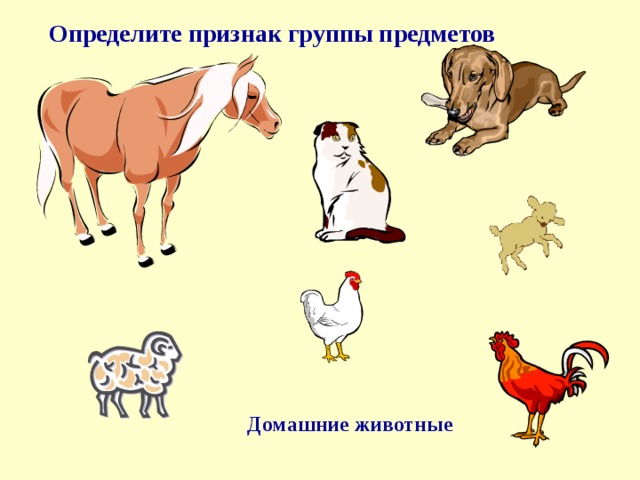  Определите признак группы предметов Домашние животные 