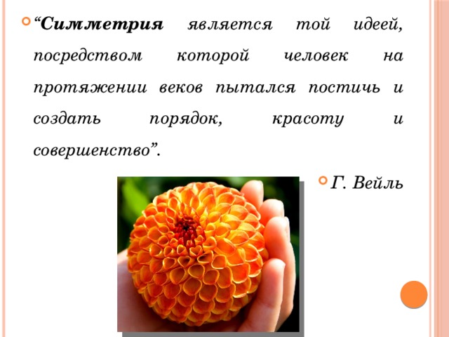 “ Симметрия является той идеей, посредством которой человек на протяжении веков пытался постичь и создать порядок, красоту и совершенство”.  Г. Вейль 