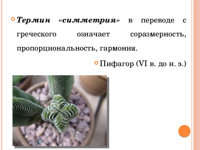 Термин «симметрия» в переводе с греческого означает соразмерность, пропорциональность, гармония. Пифагор (VI в. до н. э.) 