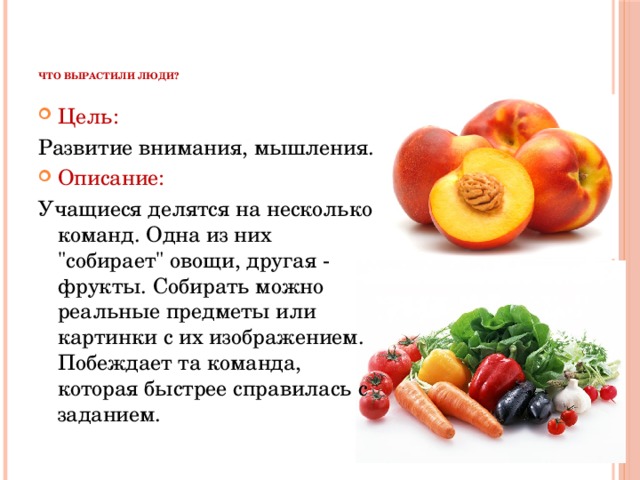     Что вырастили люди?    Цель: Развитие внимания, мышления. Описание: Учащиеся делятся на несколько команд. Одна из них 