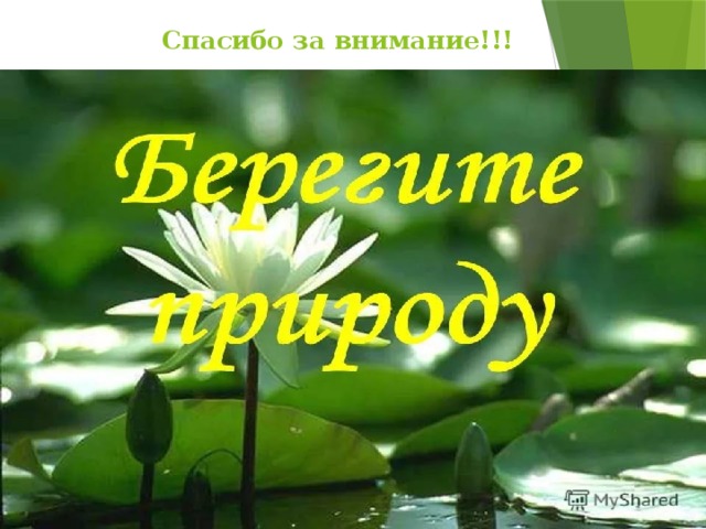  Спасибо за внимание!!! 