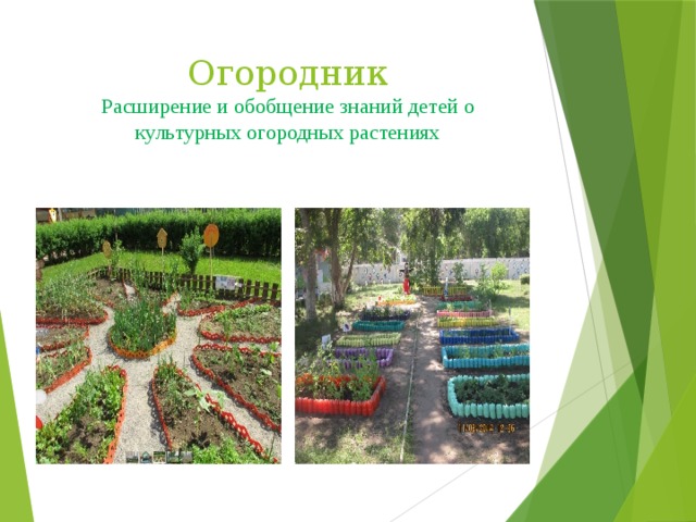 Огородник  Расширение и обобщение знаний детей о культурных огородных растениях 
