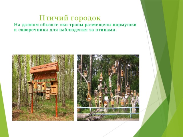  Птичий городок  На данном объекте эко-тропы размещены кормушки и скворечники для наблюдения за птицами. 