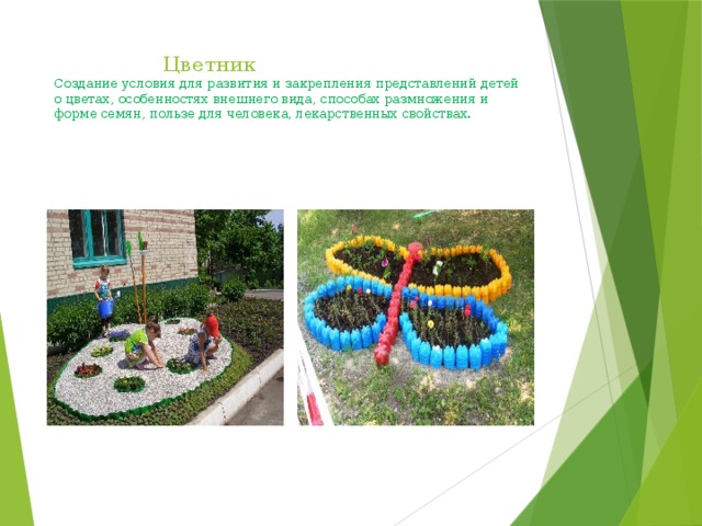  Цветник  Создание условия для развития и закрепления представлений детей о цветах, особенностях внешнего вида, способах размножения и форме семян, пользе для человека, лекарственных свойствах.   