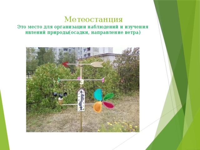  Метеостанция  Это место для организации наблюдений и изучения явлений природы(осадки, направление ветра)   