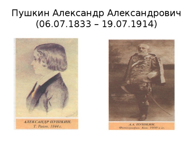 Пушкин Александр Александрович  (06.07.1833 – 19.07.1914) 