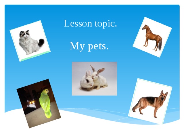 My pet 3 класс. Топик my Pet. Проект по английскому my Pet. Презентации на тему Pets.