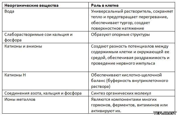 Неорганические вещества в составе клетки (Таблица)