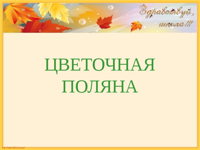 ЦВЕТОЧНАЯ ПОЛЯНА 